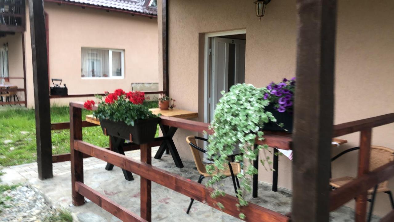 Casa Albert Valea Avrigului ภายนอก รูปภาพ